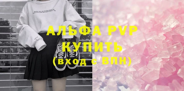 прущие грибы Абинск