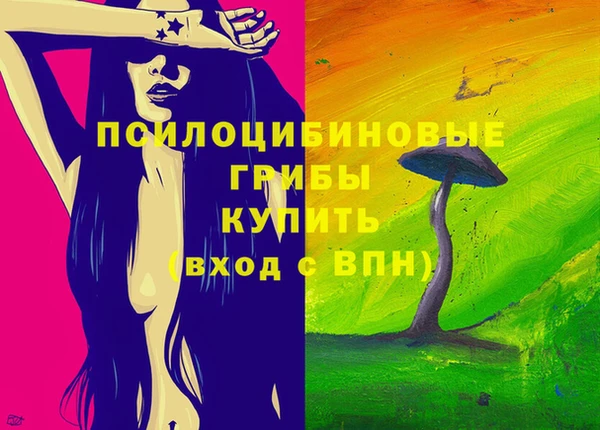 спиды Алзамай