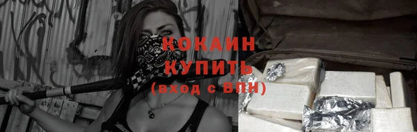прущие грибы Абинск