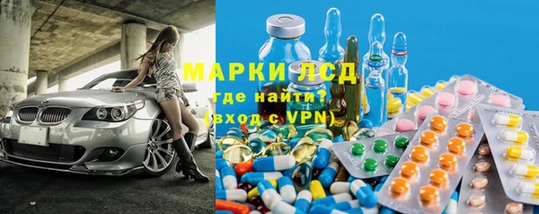 прущие грибы Абинск