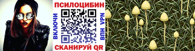 Псилоцибиновые грибы ЛСД  Катав-Ивановск 